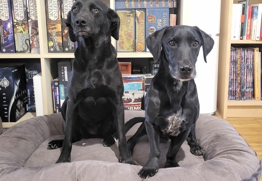 Franco & Panka