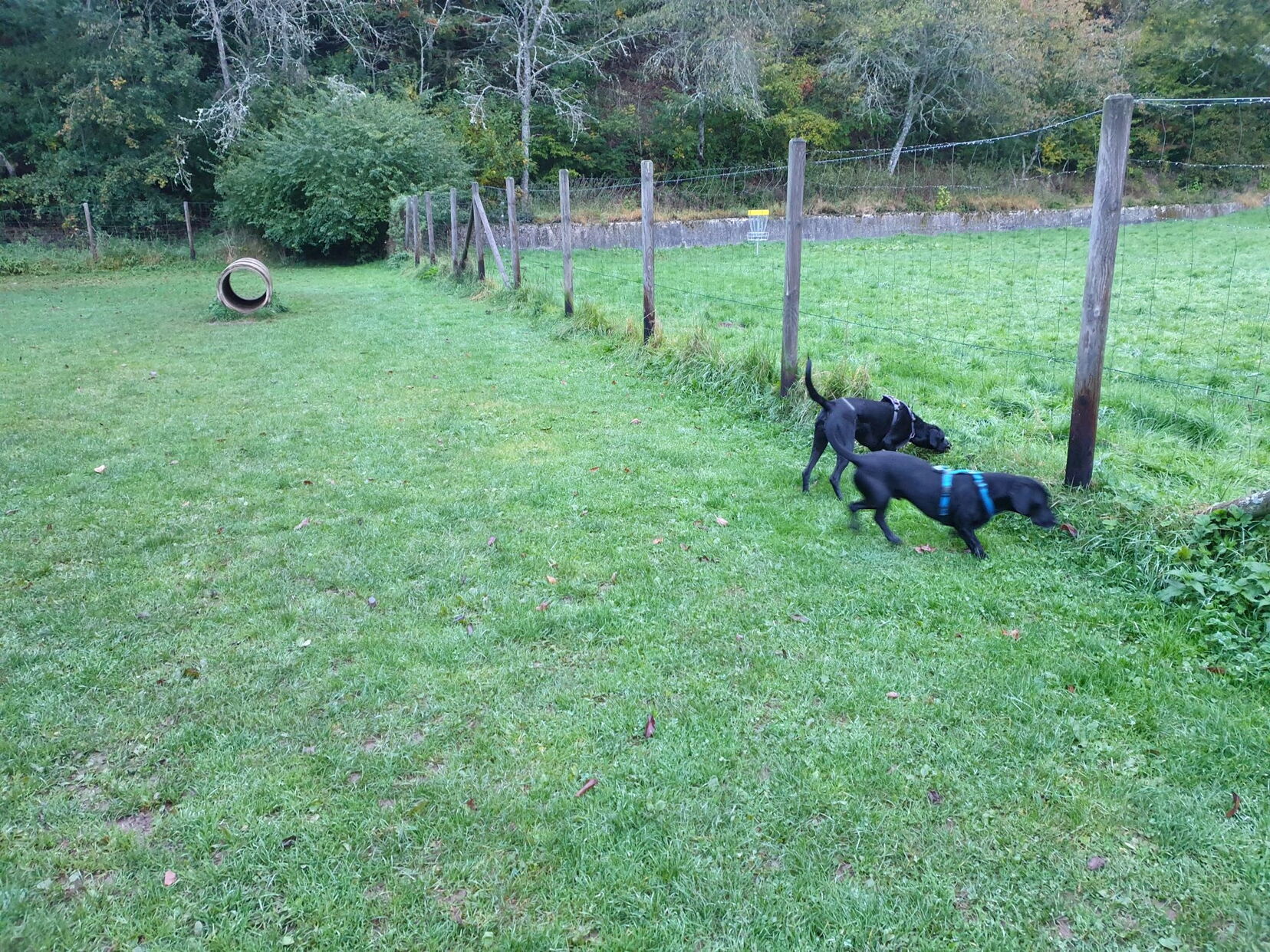 2021 10 12 Stadtkyll