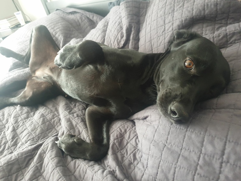 20201007_170726.jpg