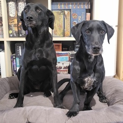 Franco & Panka