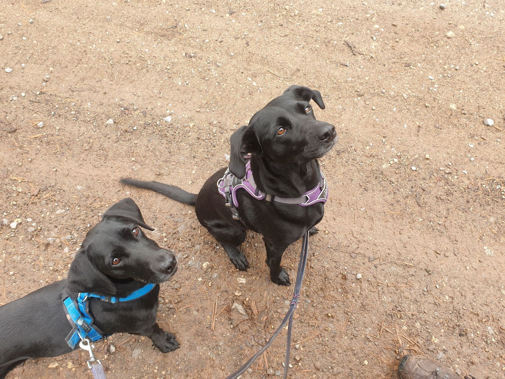 2021 10 13 Stadtkyll