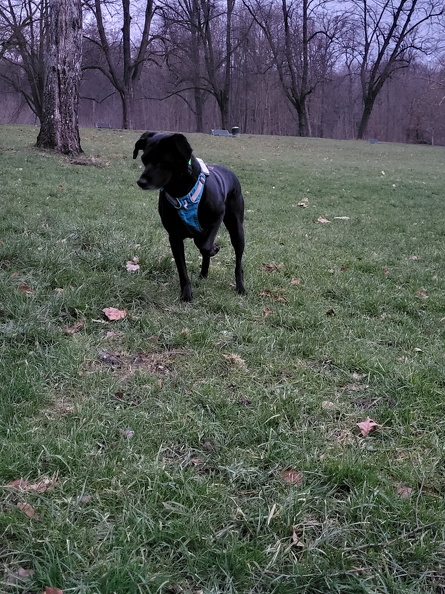 20250208_074017.jpg