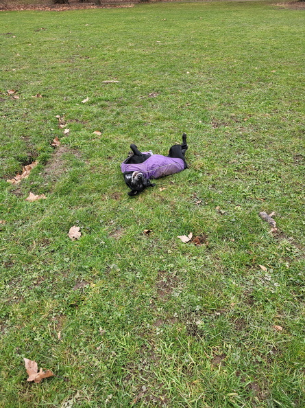 20250209_124302.jpg